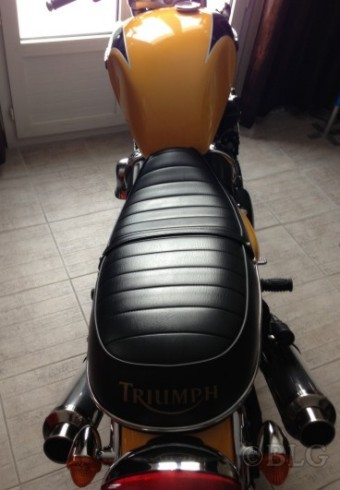 681334bd9ce7a_triumphjaune1.jpg
