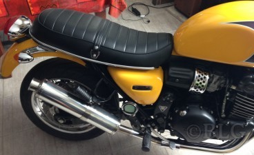 681334d8d8ada_triumphjaune2.jpg