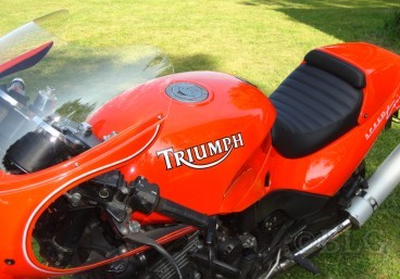 681334f4a60c9_triumphspeedtriple1.jpg