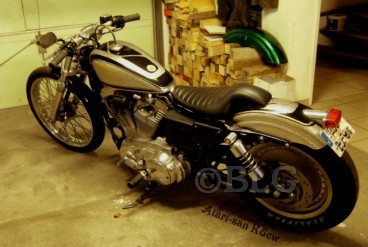 68133976c06c3_harley-vito.jpg
