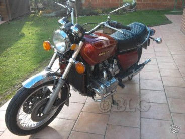 68133b9581f4e_goldwing1000.jpg