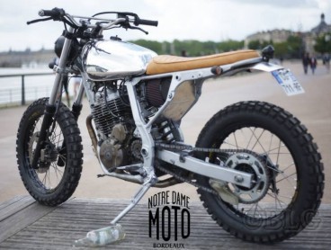 68283dbd34511_dominatorNx650.jpg