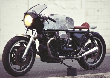 68283fceafadd_midnightphoenix1.jpg